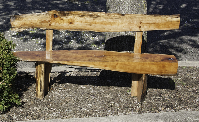 Bench Style 5